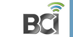 logotype BCI couleurs
